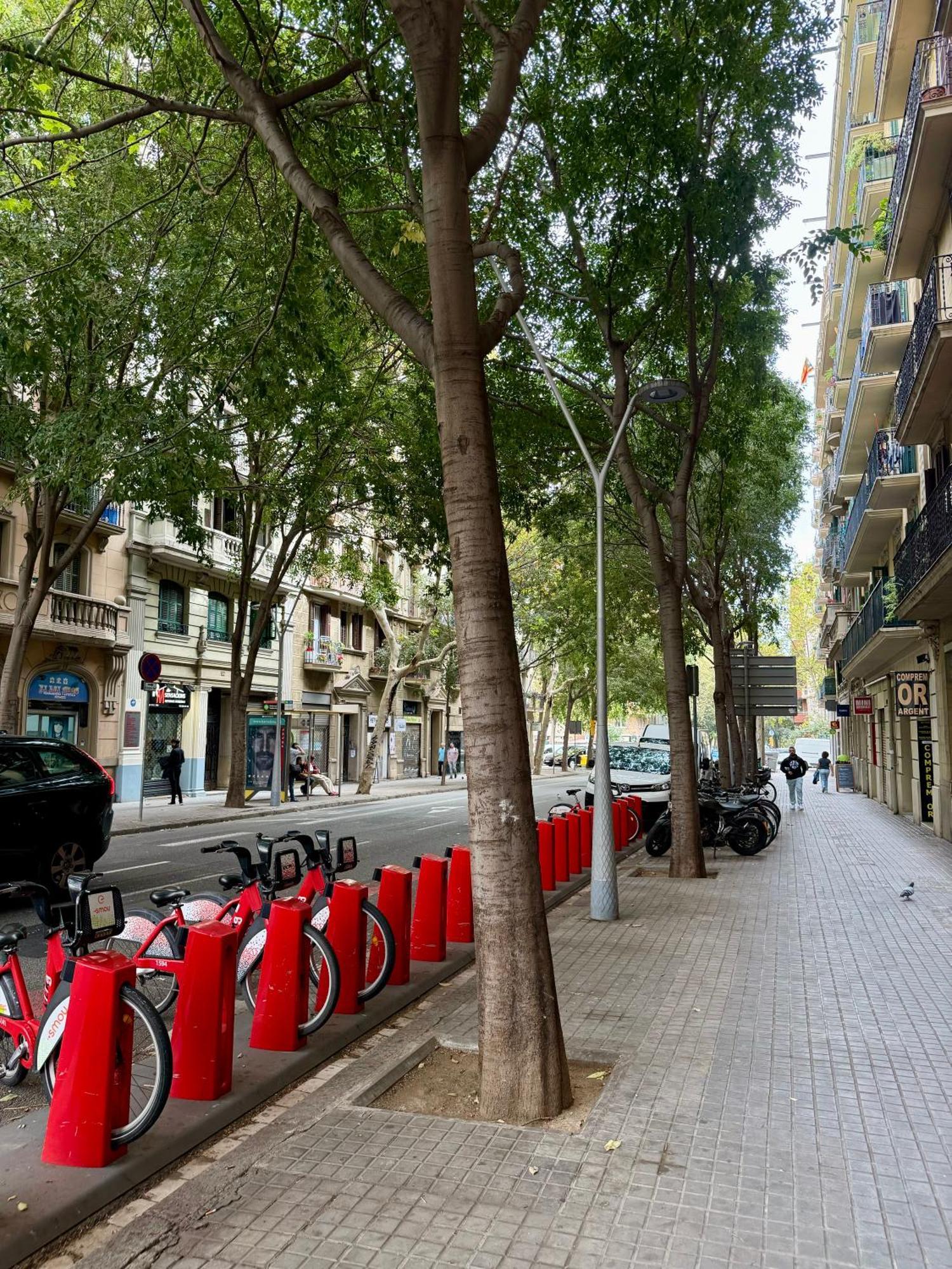 Newly Renovated Stylish Eixample - Great Location Barcelona Bagian luar foto